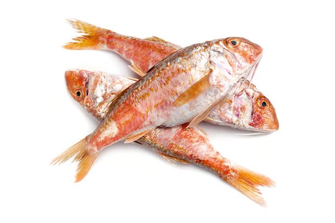 سمك سلطان إبراهيم